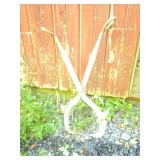 Early Ice Tongs Early Ice Tongs