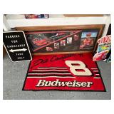 Dale Jr. Floormat, etc.