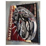 Dale Earnhardt Jr. Blanket #2 Dale Earnhardt Jr. Blanket #2