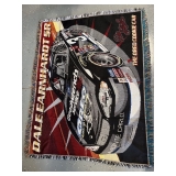 Dale Earnhardt Jr. Blanket #2