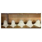 Lot #342 Antique Shade Lot #22