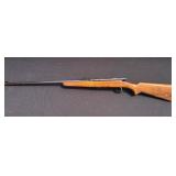 Short L or LR Bolt Action Rifle