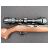 with Bushnell Scope