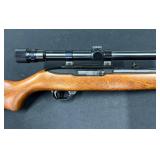 #310  with Weaver V22 – a scope