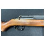 #333  or .20 Cal pellet C Series