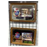 #361 White-Tailed Deer, & Ring Necked Pheasant