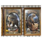 #364 Brown Bear, & Grizzly Bear