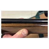 Close up of Markings Close up of Markings