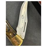 Close Up of Case shark tooth Close Up of Case shark tooth