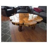 Cross Cut Epoxy Stump Table