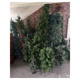 Christmas Trees