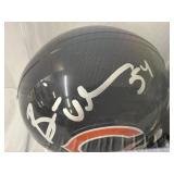 #171 Mini helmets Lot incl. Brian Urlacher