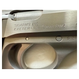 Sigarms 9mm Kurz (380)