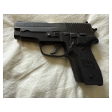 Sig Sauer P228