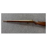 Reverse View of Savage Arms