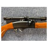 22 short long or long rifle 