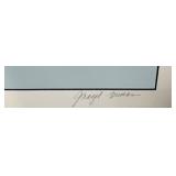 #258 Signed Serigraph by Jennifer Nagal 372/990 ( Shannon) 30X38			