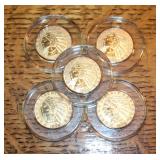 (5) Indian Head Clad Copy
