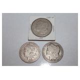 (3) Morgan- 1900-o