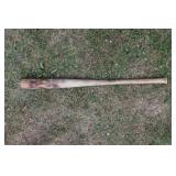 Saline MI bat 