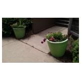Planters pots 