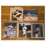 #604 Lot of 5 Signed Tiger 8x10