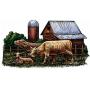 DAWN FARM 43rd ANNIVERSARY JAMBOREE