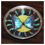 Butterfly wing dish
