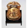 #1 Detroit Police Deputy Chief Badge