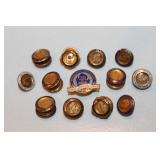 #168 Michigan Consumer Power Pin lot