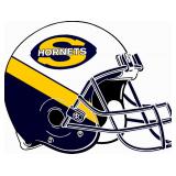 Saline Hornets Football Auction - Benefit