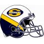 Saline Hornets Football Auction - Benefit