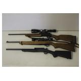Rossi, Ruger 10/22, Savage