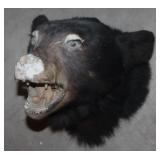 Bear mount Bear mount