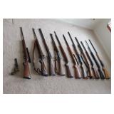 Nice Assortment Long guns