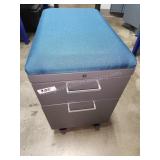 Padded Rolling Cabinet and Seat Combo