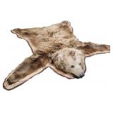 Grizzly Bear Rug