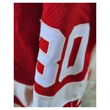 Detroit Red Wings Greg Stefan Game Worn Hockey Jersey