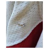 Detroit Red Wings Greg Stefan Game Worn Hockey Jersey