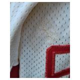 Detroit Red Wings Greg Stefan Game Worn Hockey Jersey