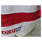 Detroit Red Wings Greg Stefan Game Worn Hockey Jersey