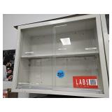 Wall Mounted Laboratory Storage Cabinet