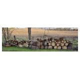 Collection of Cut Fire Wood - Logs