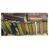 Just a sample of Chilton Guides