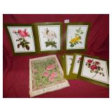 COUNTRY LIFE 1905 MAGAZINE, BOTANICAL FLOWER