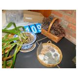 ROCK COLLECTION, BIG PINE CONES