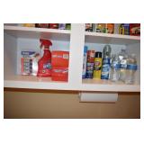 GOOF OFF, GLASS CLEANER, WOOLITE, CLOROX DUST