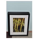 BAMBOO IN BLACK FRAME 15" W X 22" H