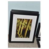 BAMBOO IN BLACK FRAME 15" W X 22" H