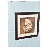 SHELL PRINTS 15" SQUARE